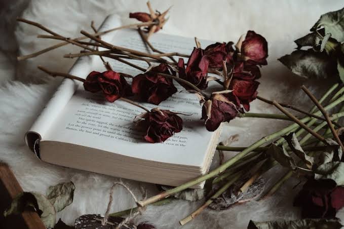 Dark Romance
